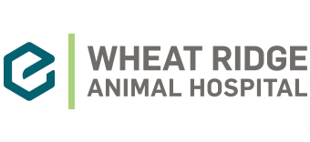 wheat-ridge-animal-hospital